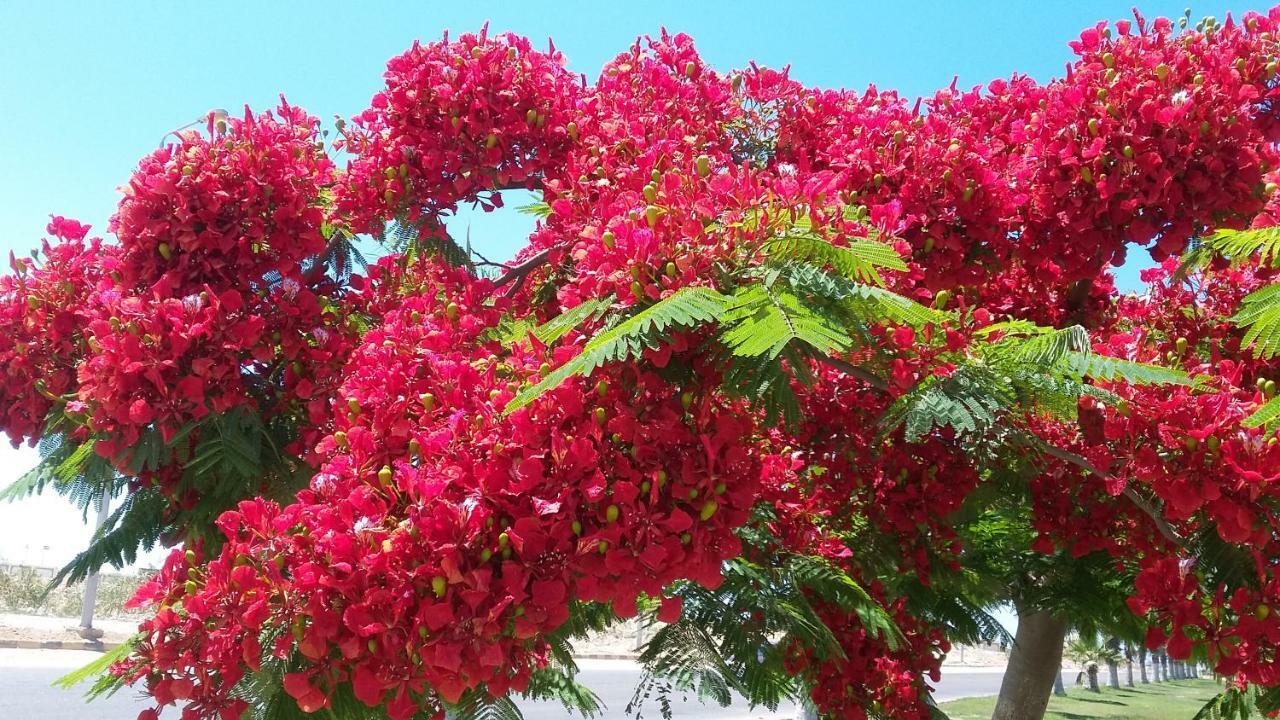 Villetta Nella Baia فورناري المظهر الخارجي الصورة